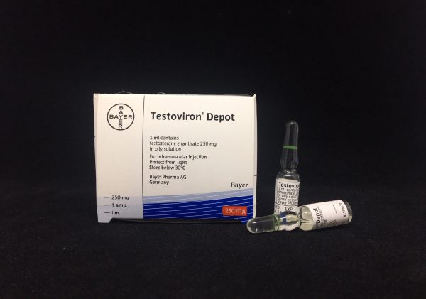 Bayer Testosterone Enanthate